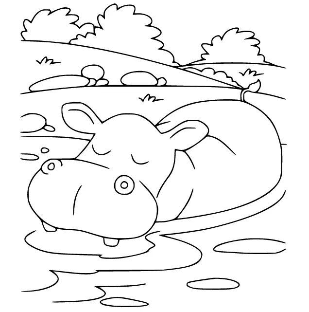 Çocuklar İçin Su-Aygırı-Hippopotam Boyama Sayfaları 