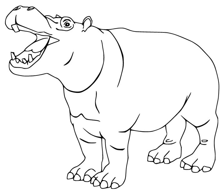 Çocuklar İçin Su-Aygırı-Hippopotam Boyama Sayfaları 