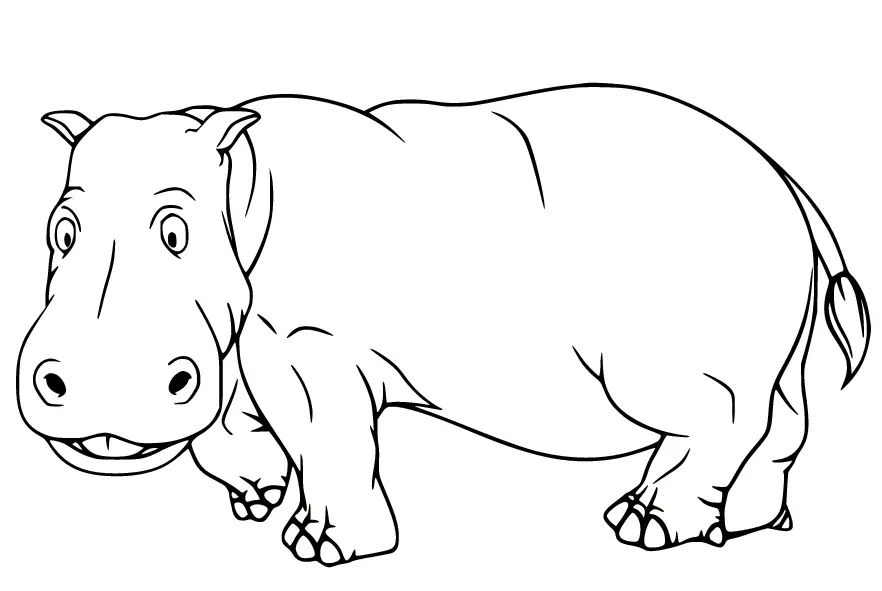 Çocuklar İçin Su-Aygırı-Hippopotam Boyama Sayfaları 