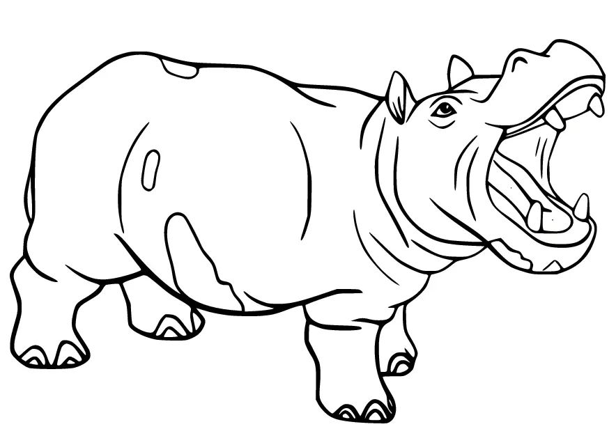 Çocuklar İçin Su-Aygırı-Hippopotam Boyama Sayfaları 