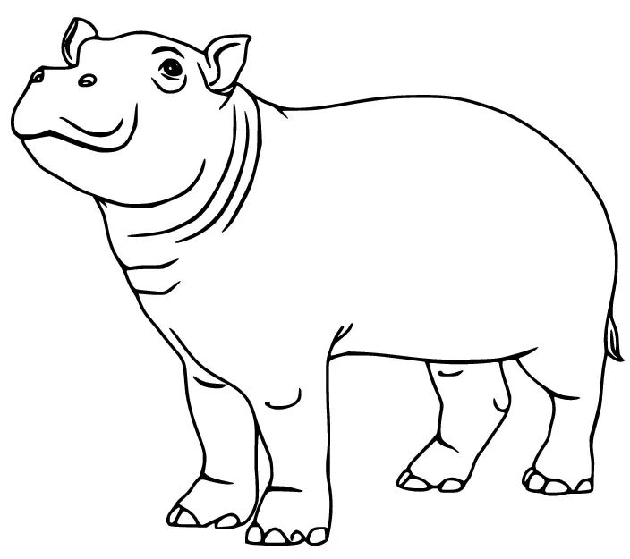 Çocuklar İçin Su-Aygırı-Hippopotam Boyama Sayfaları 