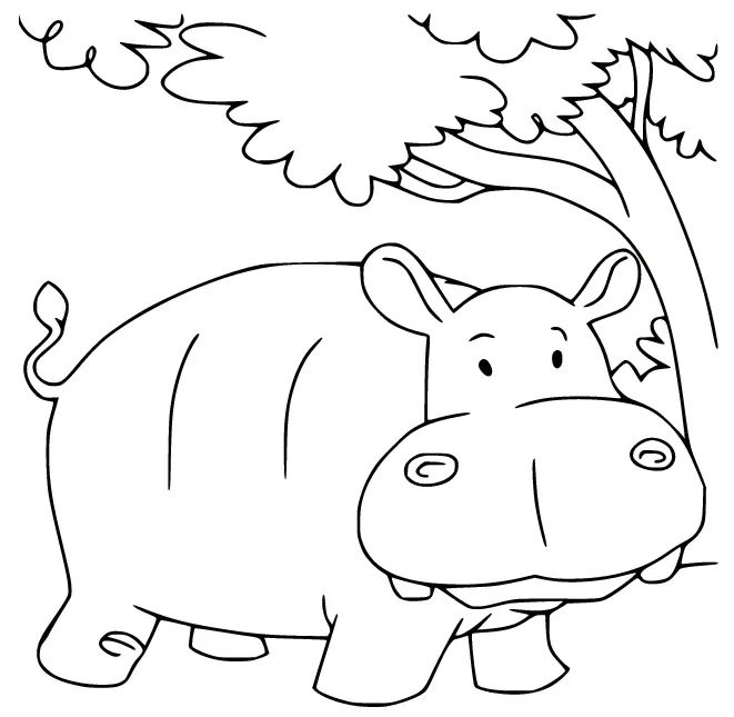 Çocuklar İçin Su-Aygırı-Hippopotam Boyama Sayfaları 