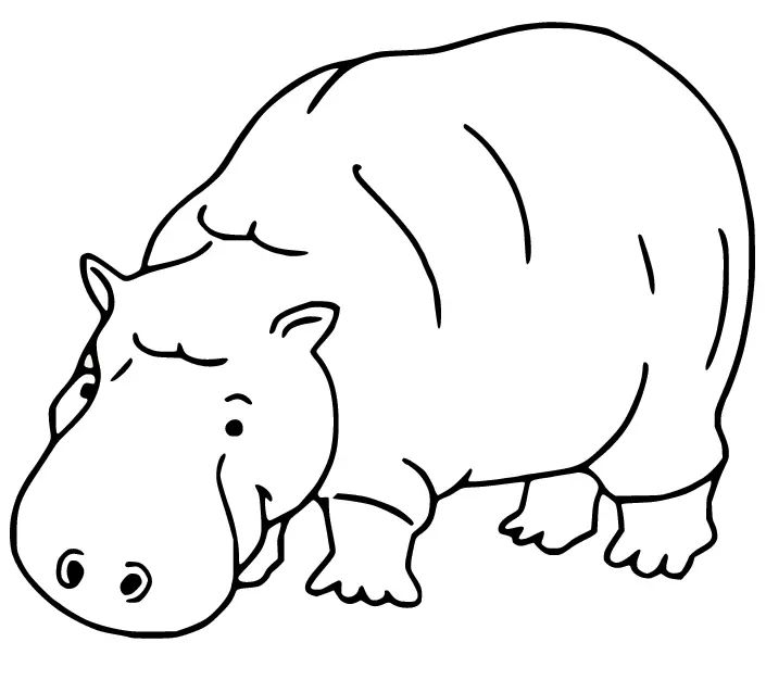 Çocuklar İçin Su-Aygırı-Hippopotam Boyama Sayfaları 