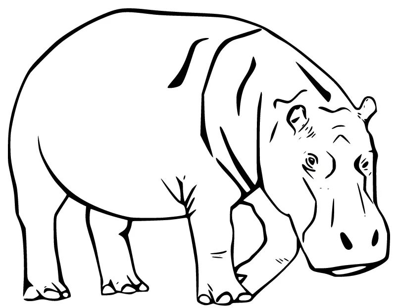 Çocuklar İçin Su-Aygırı-Hippopotam Boyama Sayfaları 