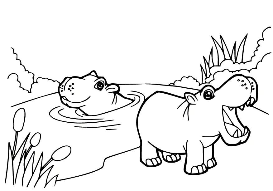 Çocuklar İçin Su-Aygırı-Hippopotam Boyama Sayfaları 