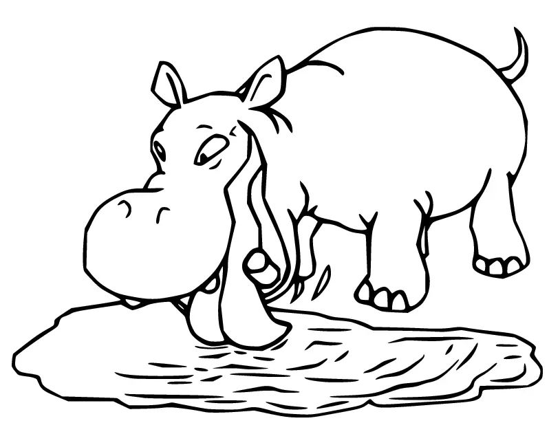 Çocuklar İçin Su-Aygırı-Hippopotam Boyama Sayfaları 