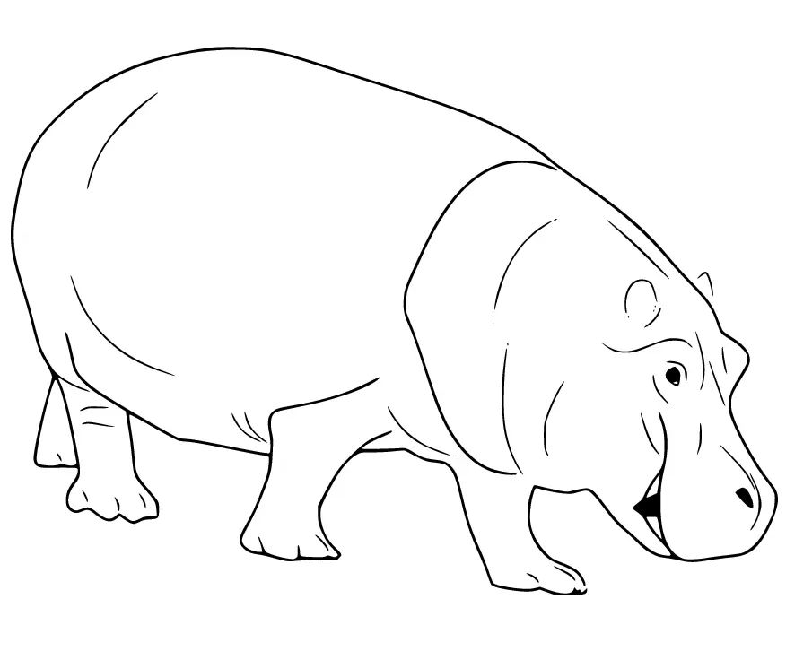 Çocuklar İçin Su-Aygırı-Hippopotam Boyama Sayfaları 