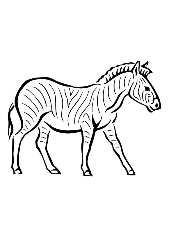 Çocuklar İçin Zebra Boyama Sayfaları 