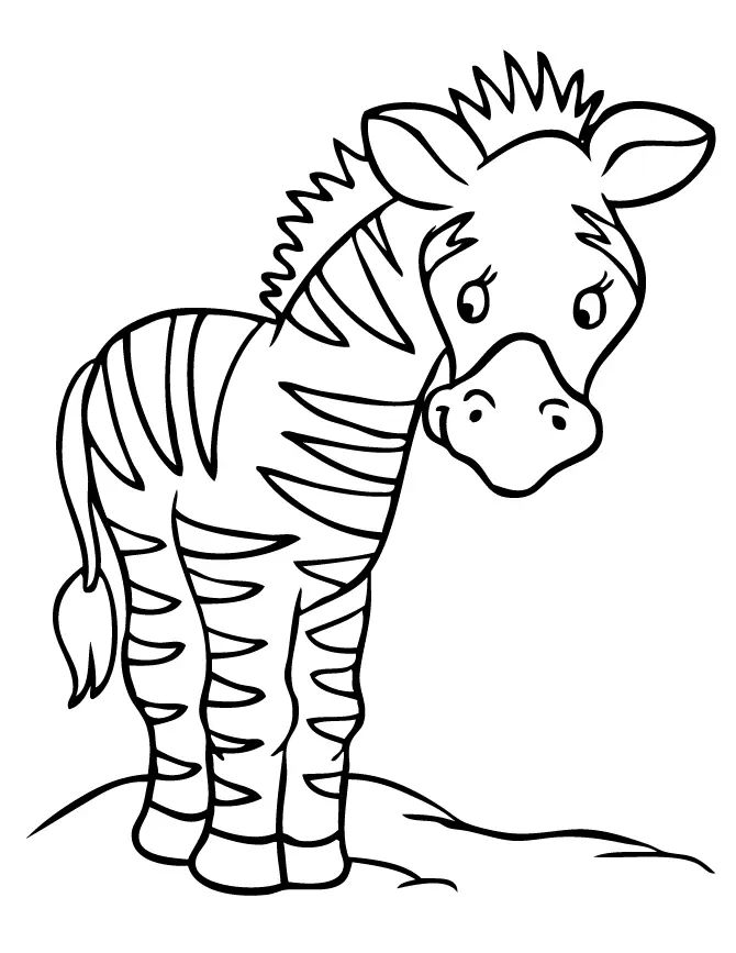 Çocuklar İçin Zebra Boyama Sayfaları 
