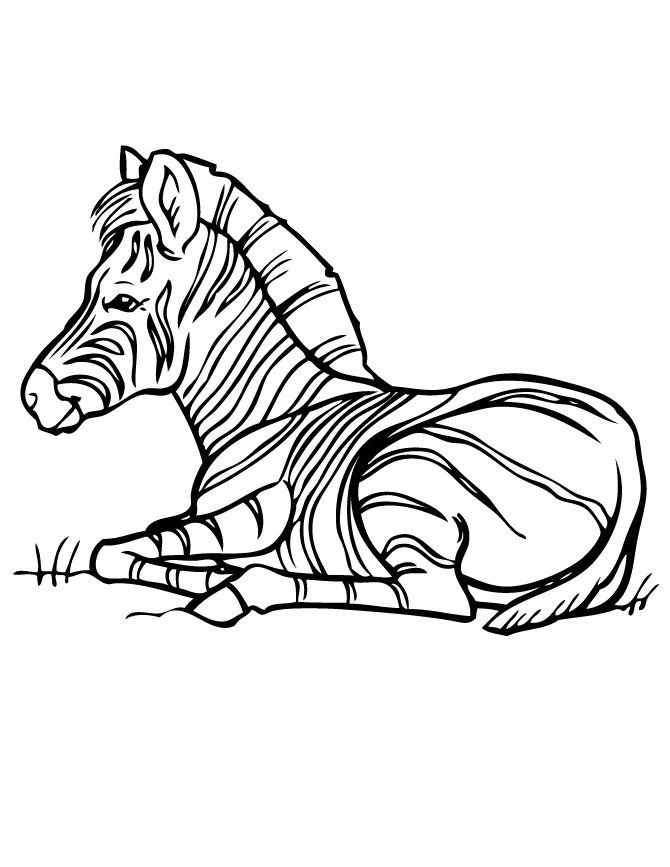 Çocuklar İçin Zebra Boyama Sayfaları 