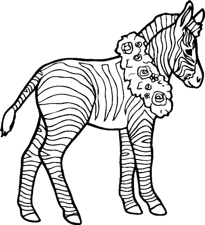 Çocuklar İçin Zebra Boyama Sayfaları 