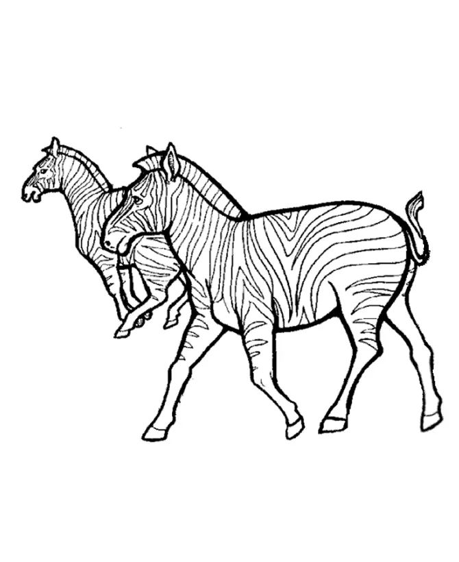 Çocuklar İçin Zebra Boyama Sayfaları 