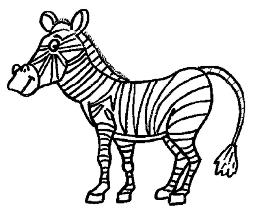 Çocuklar İçin Zebra Boyama Sayfaları 