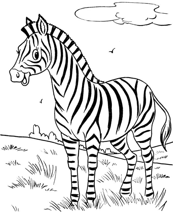 Çocuklar İçin Zebra Boyama Sayfaları 
