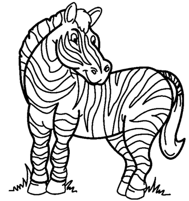 Çocuklar İçin Zebra Boyama Sayfaları 