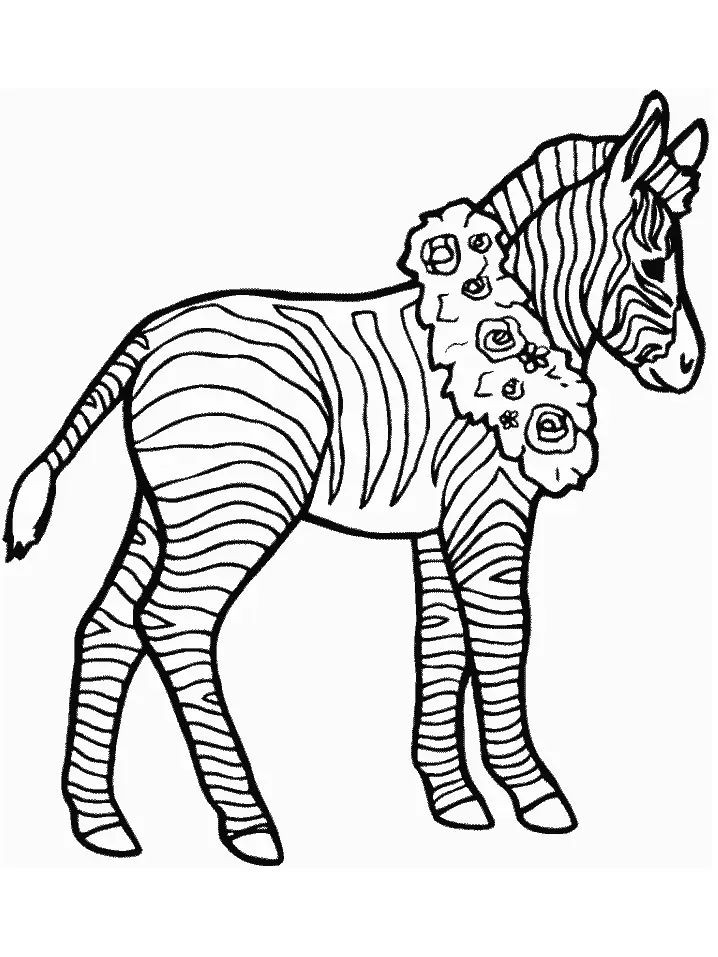 Çocuklar İçin Zebra Boyama Sayfaları 