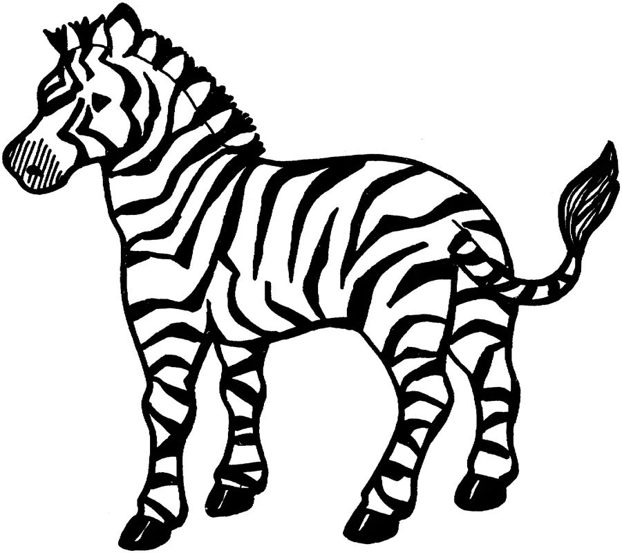 Çocuklar İçin Zebra Boyama Sayfaları 