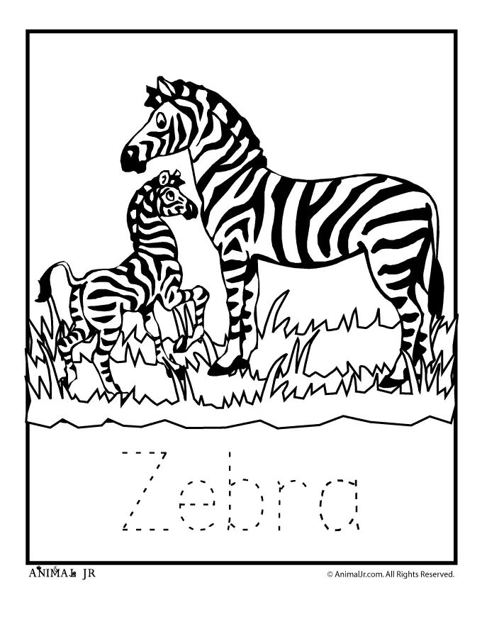 Çocuklar İçin Zebra Boyama Sayfaları 