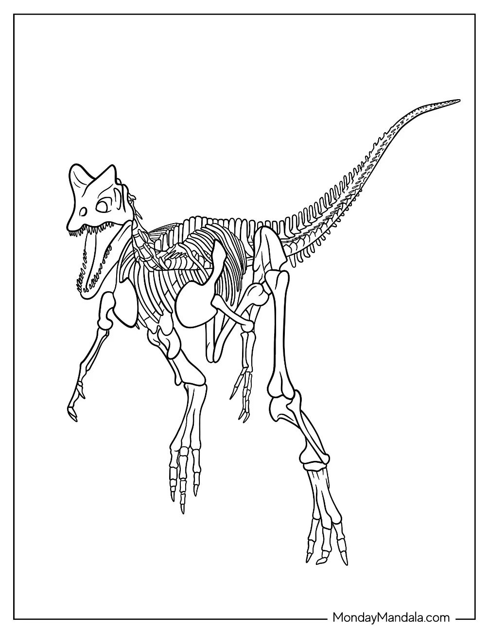 Çocuklar İçin Dilophosaurus Boyama Sayfaları 