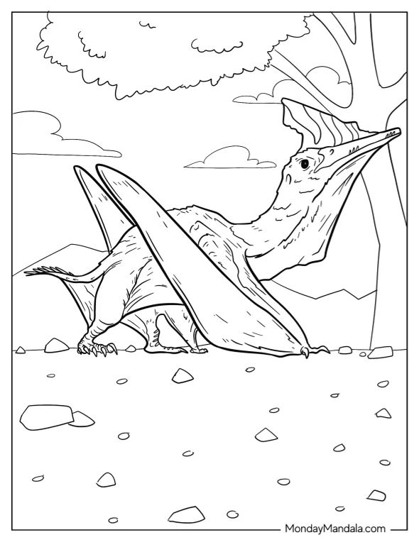 Çocuklar İçin Pterodactyl Boyama Sayfaları 