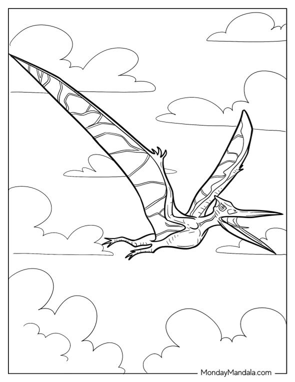 Çocuklar İçin Pterodactyl Boyama Sayfaları 