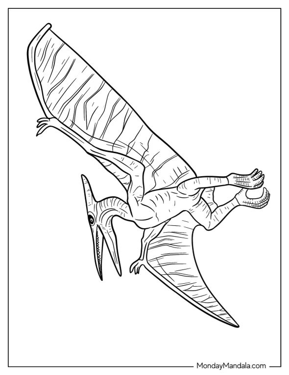 Çocuklar İçin Pterodactyl Boyama Sayfaları 