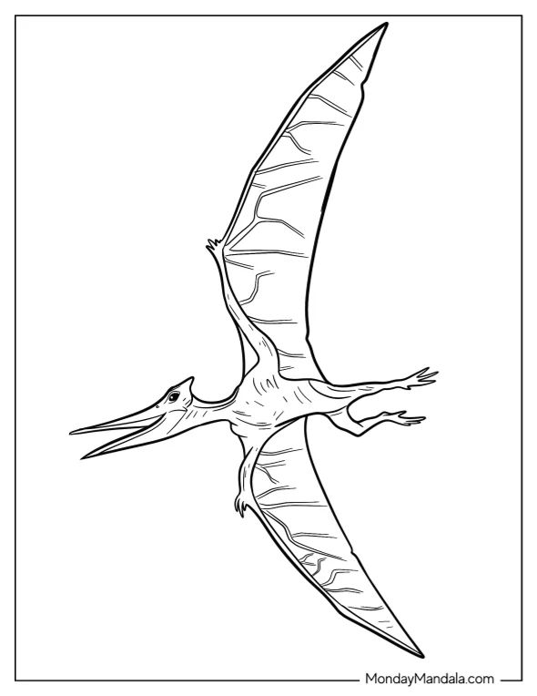 Çocuklar İçin Pterodactyl Boyama Sayfaları 