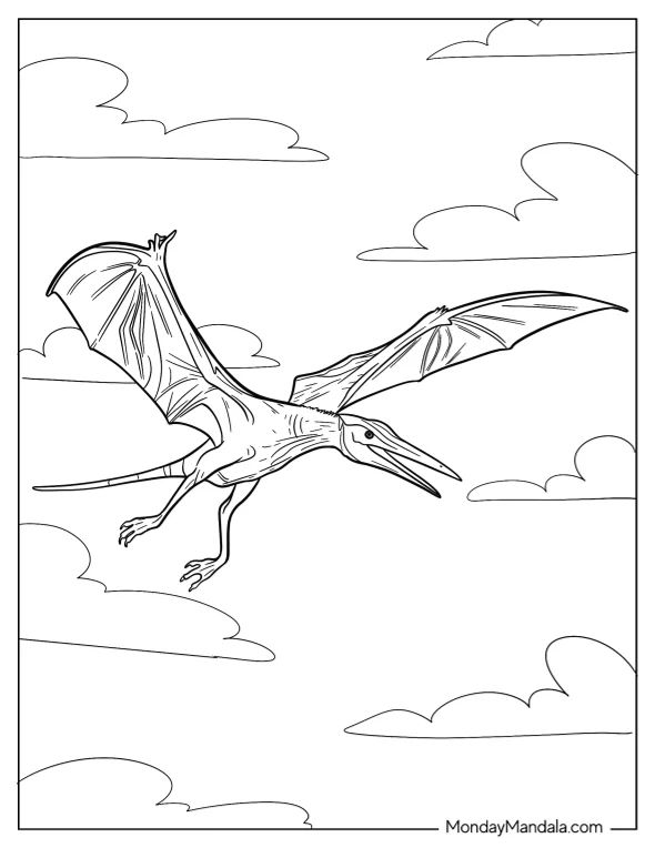 Çocuklar İçin Pterodactyl Boyama Sayfaları 