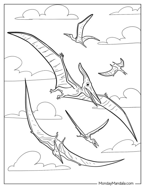 Çocuklar İçin Pterodactyl Boyama Sayfaları 