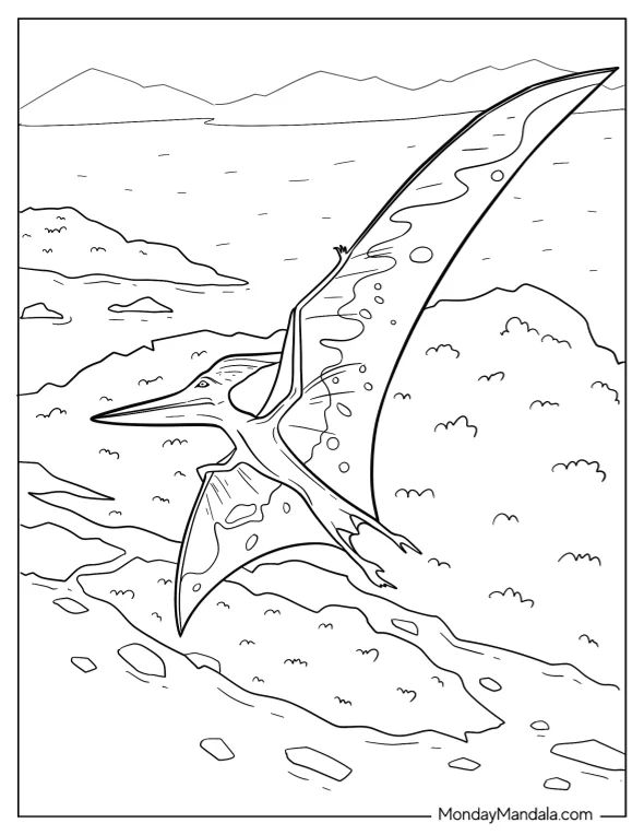 Çocuklar İçin Pterodactyl Boyama Sayfaları 