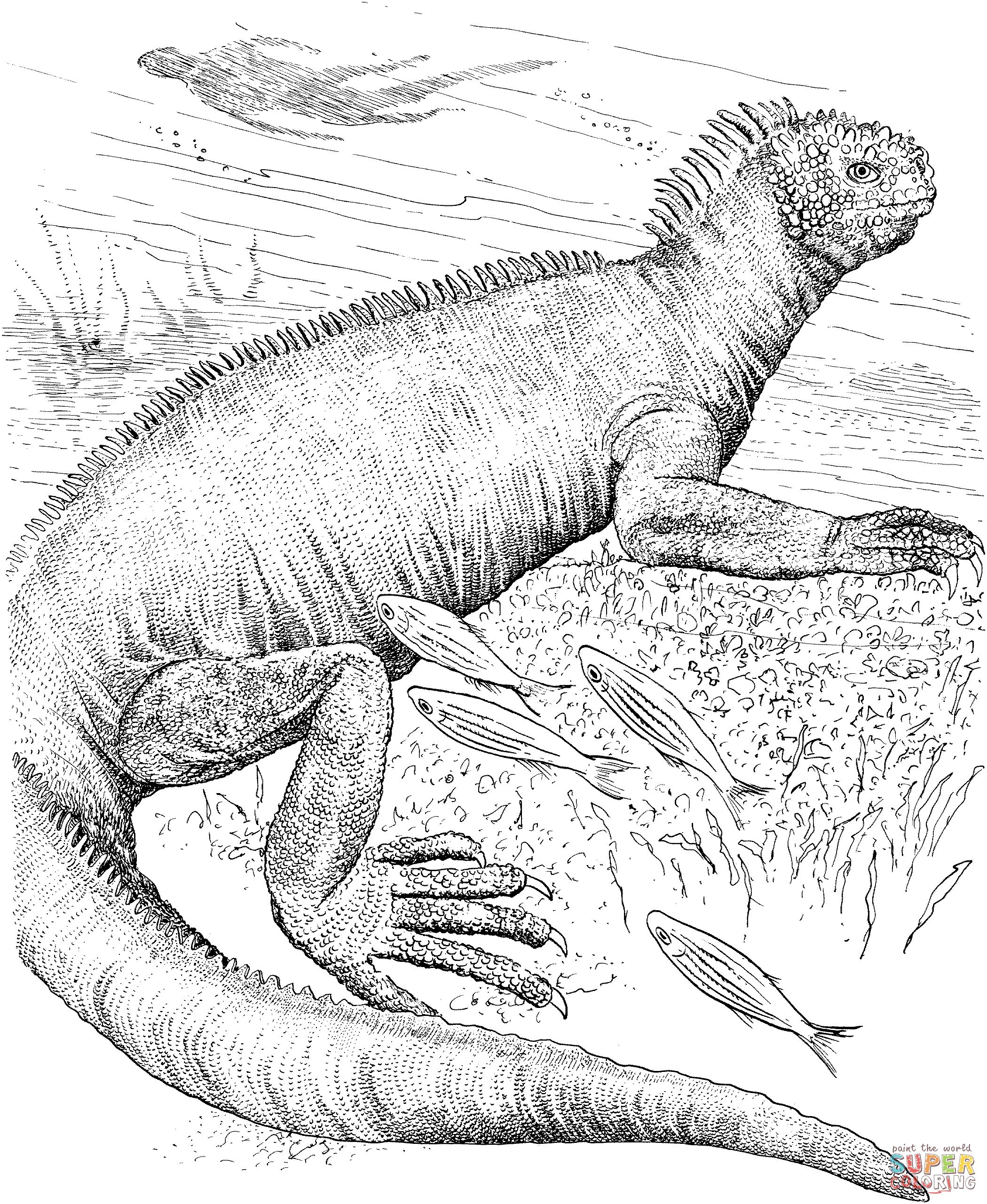 Çocuklar İçin iguana Boyama Sayfaları 