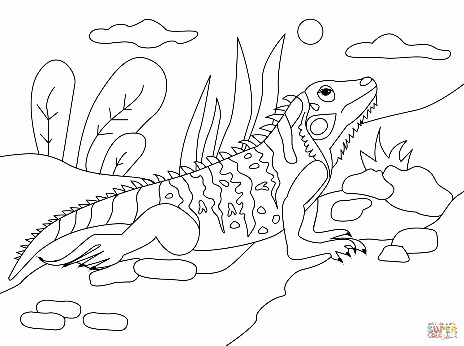 Çocuklar İçin iguana Boyama Sayfaları 