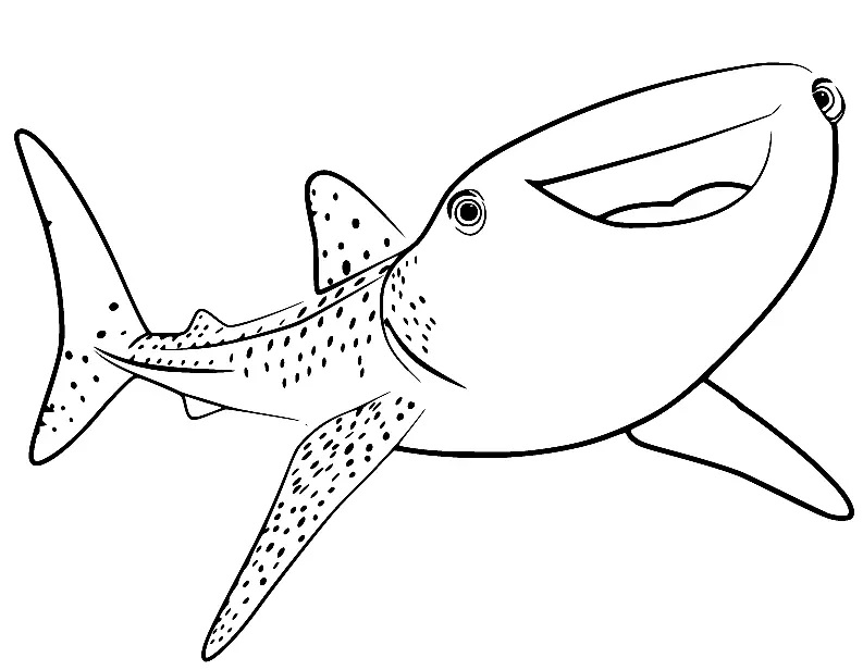 Çocuklar İçin Balık Dory Boyama Sayfaları 
