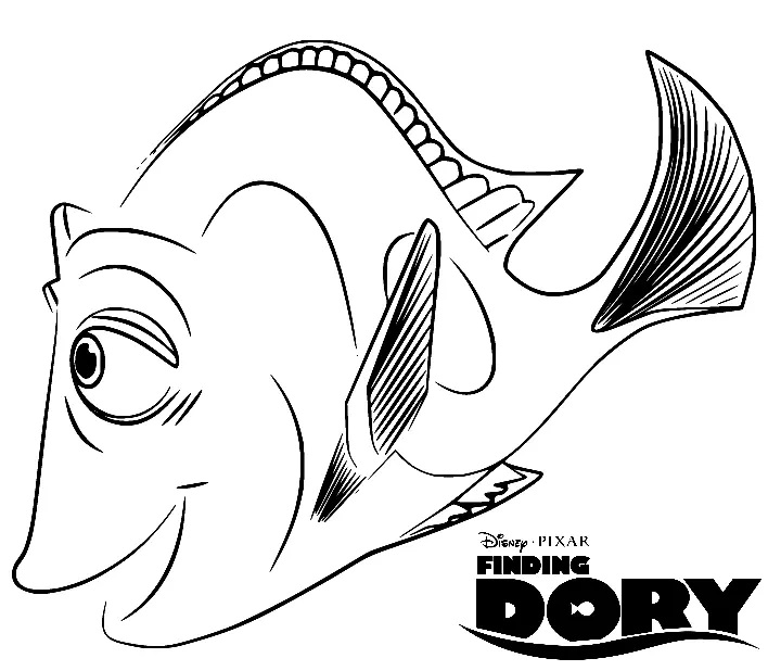 Çocuklar İçin Balık Dory Boyama Sayfaları 