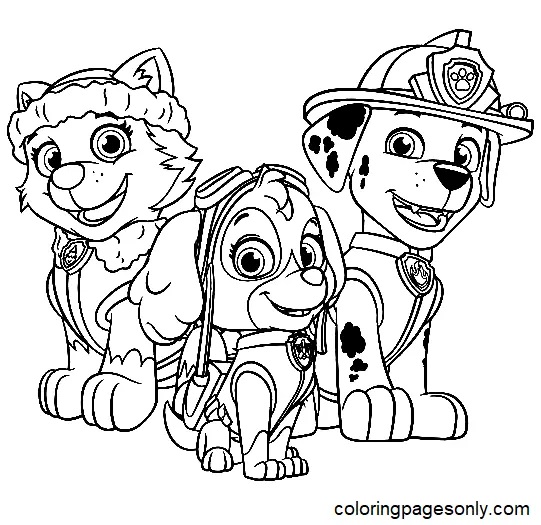Çocuklar İçin Everest Paw Patrol Boyama Sayfaları 