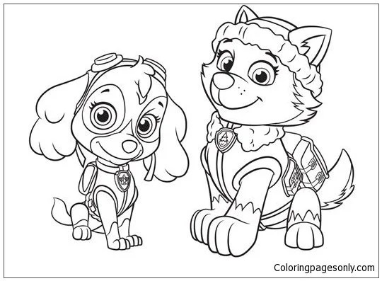 Çocuklar İçin Everest Paw Patrol Boyama Sayfaları 
