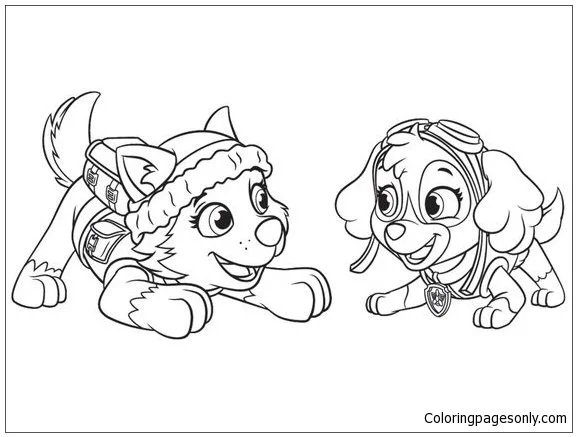 Çocuklar İçin Everest Paw Patrol Boyama Sayfaları 