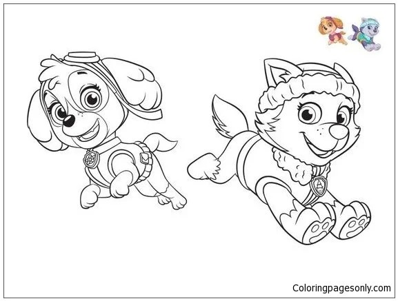 Çocuklar İçin Everest Paw Patrol Boyama Sayfaları 