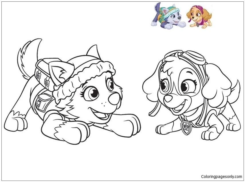 Çocuklar İçin Everest Paw Patrol Boyama Sayfaları 