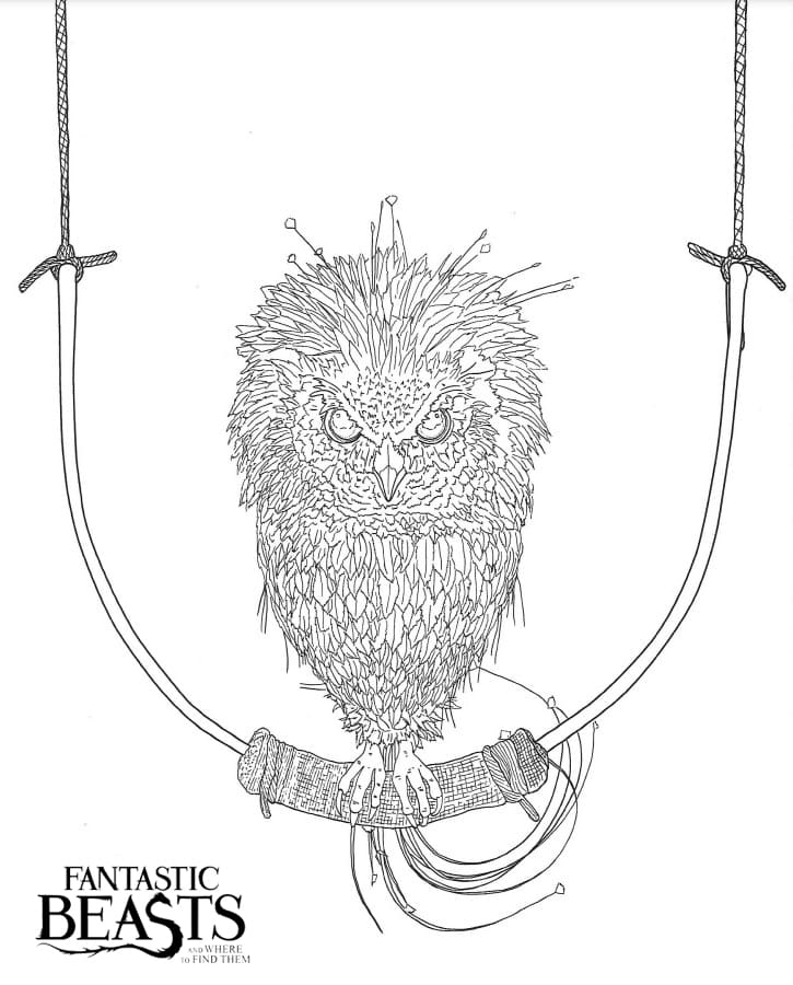 Çocuklar İçin Fantastic Beasts Boyama Sayfaları 