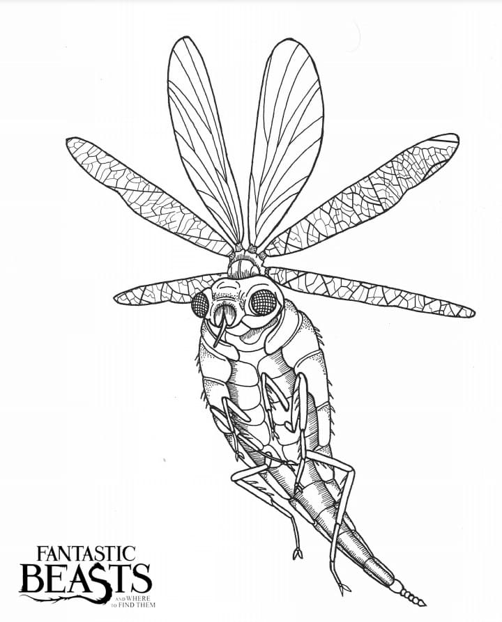 Çocuklar İçin Fantastic Beasts Boyama Sayfaları 
