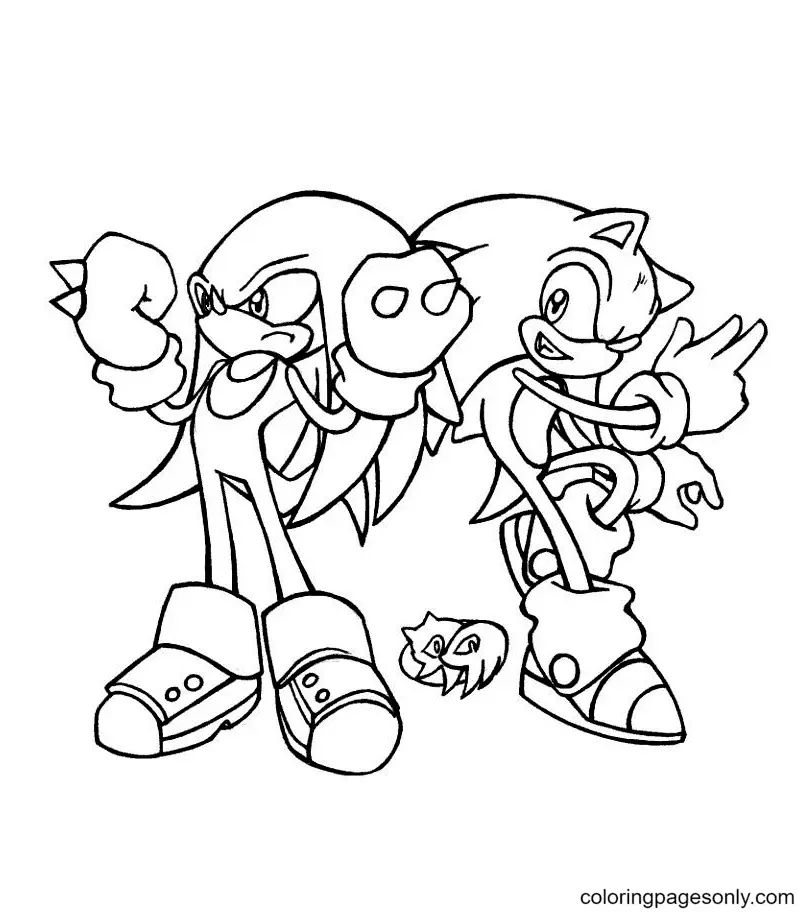 Çocuklar İçin Knuckles Boyama Sayfaları 