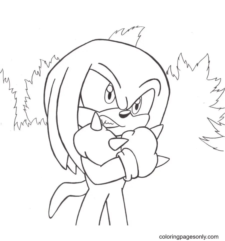 Çocuklar İçin Knuckles Boyama Sayfaları 