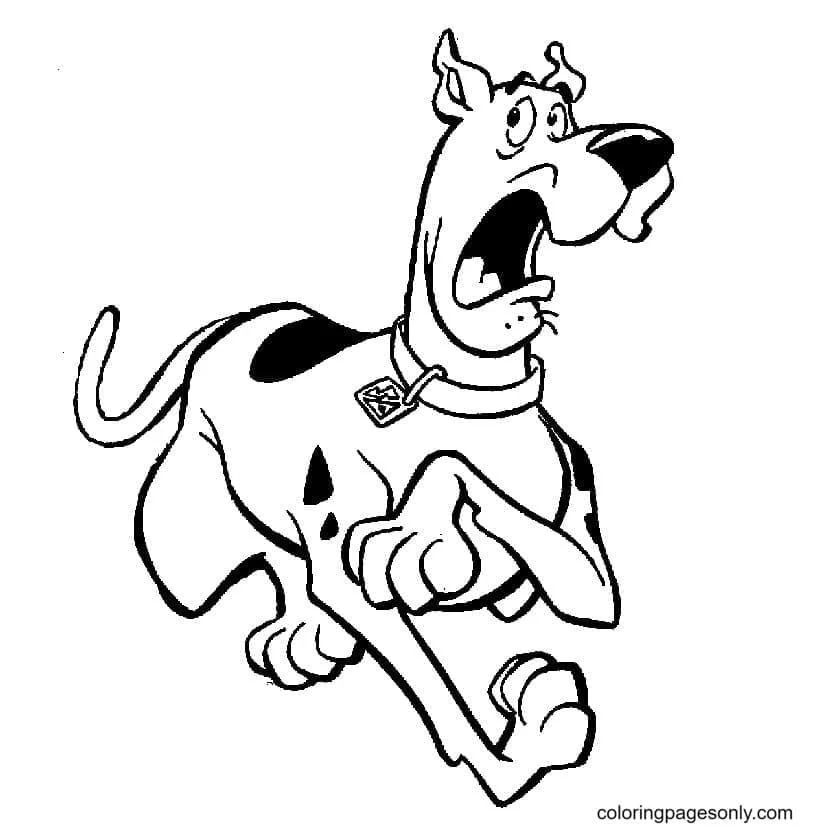 Çocuklar İçin Scooby Doo Boyama Sayfaları 