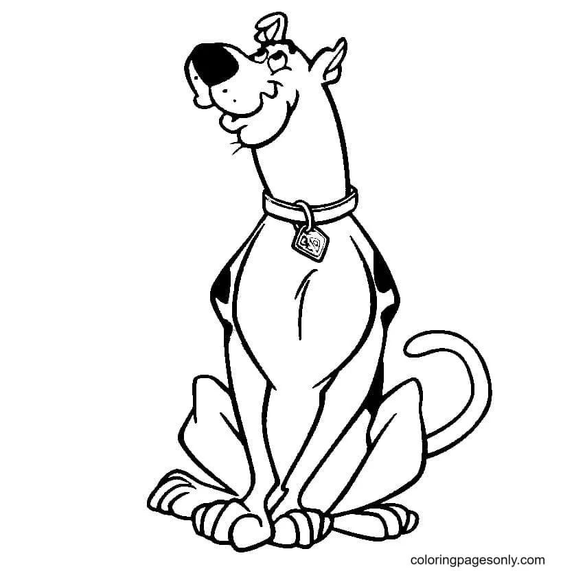 Çocuklar İçin Scooby Doo Boyama Sayfaları 