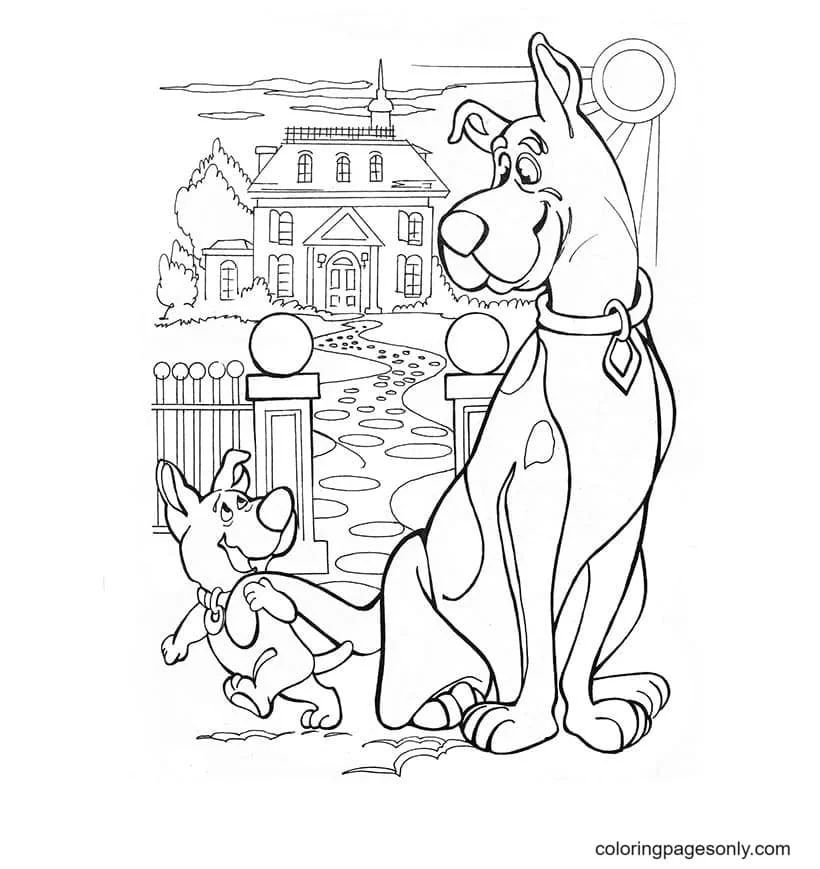 Çocuklar İçin Scooby Doo Boyama Sayfaları 
