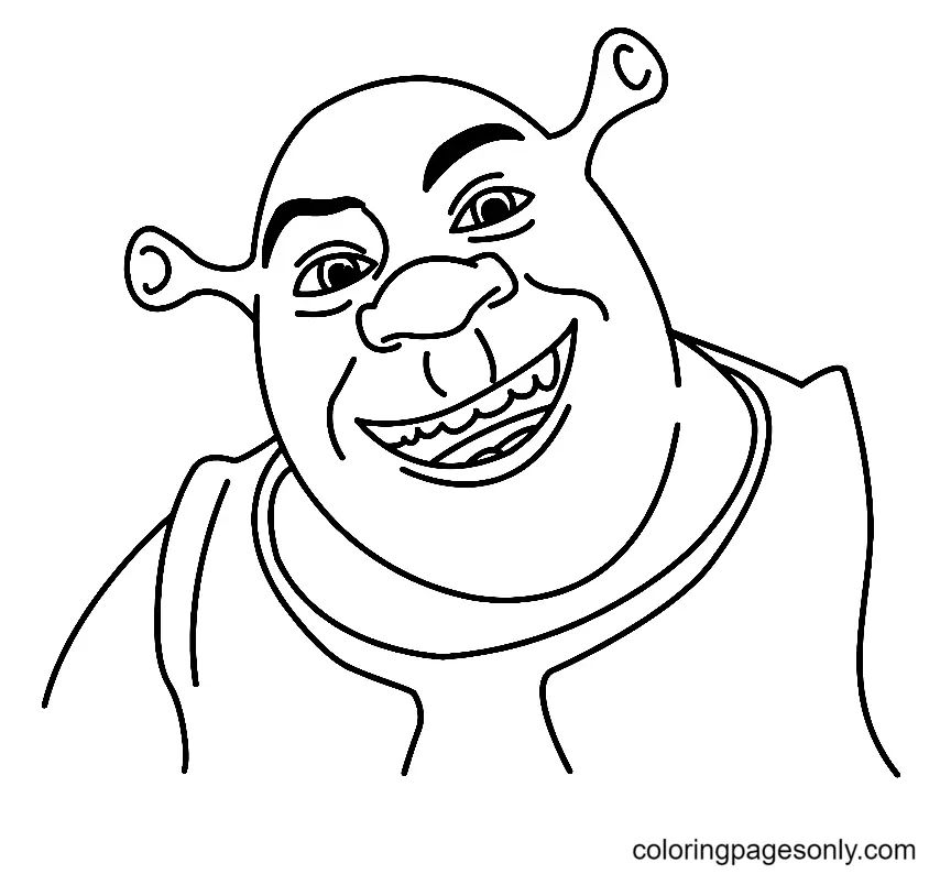 Çocuklar İçin Shrek Boyama Sayfaları 