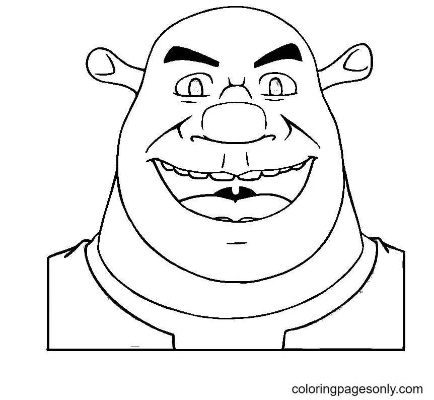 Çocuklar İçin Shrek Boyama Sayfaları 