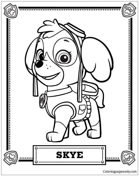 Çocuklar İçin Skye-Paw Patrol Boyama Sayfaları 