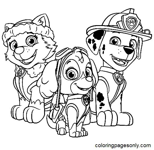 Çocuklar İçin Skye-Paw Patrol Boyama Sayfaları 